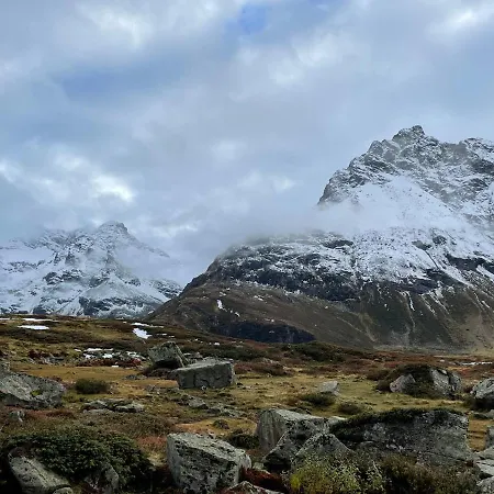 Apartment Haus Silvretta